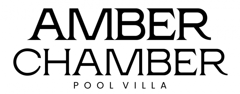 logo developer Amber Chamber logo developer Amber Chamber